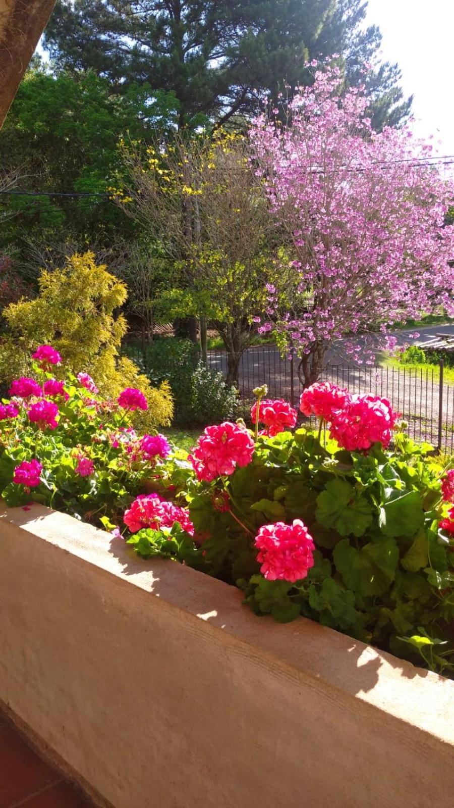La Casona Del Lago Balneario Ipora 外观 照片
